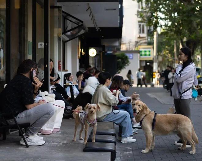了双11爱上了“老年严选”OG网站这届脆皮年轻人抛弃(图11)